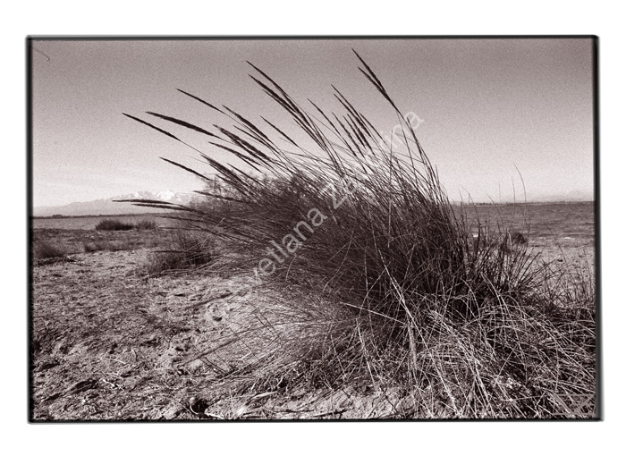 91-canet